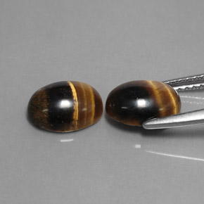 Pedras preciosas de tiger's eye marrom natural de  ct, corte oval, opaco