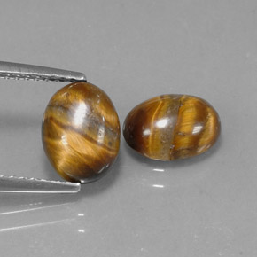 Pedras preciosas de tiger's eye marrom natural de  ct, corte oval, opaco