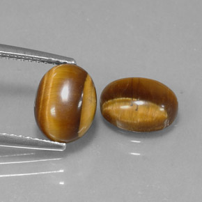 Pedras preciosas de tiger's eye marrom natural de  ct, corte oval, opaco