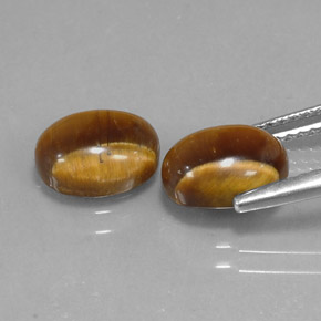 Pedras preciosas de tiger's eye marrom natural de  ct, corte oval, opaco