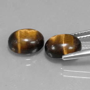Pedras preciosas de tiger's eye marrom natural de  ct, corte oval, opaco