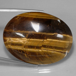Tiger's eye marrom natural 73,05ct, corte oval, opaco