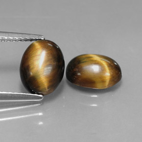 Pedras preciosas de tiger's eye marrom natural de  ct, corte oval, opaco