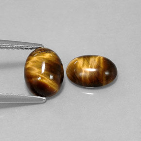 Pedras preciosas de tiger's eye marrom natural de  ct, corte oval, opaco