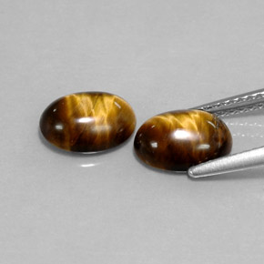 Pedras preciosas de tiger's eye marrom natural de  ct, corte oval, opaco