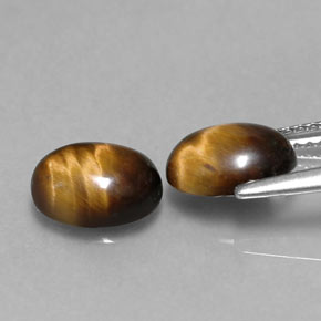 Pedras preciosas de tiger's eye marrom natural de  ct, corte oval, opaco