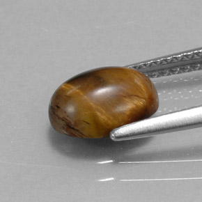 Tiger's eye marrom natural 1,55ct, corte oval, opaco