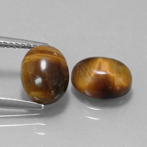 Pedras preciosas de tiger's eye marrom natural de  ct, corte oval, opaco
