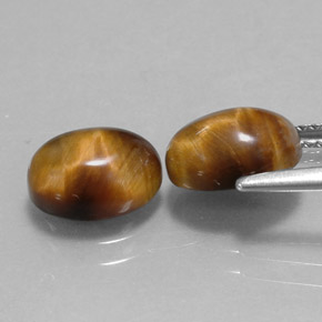 Pedras preciosas de tiger's eye marrom natural de  ct, corte oval, opaco