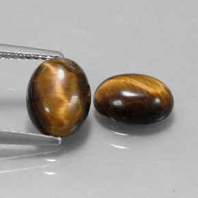 Pedras preciosas de tiger's eye marrom natural de  ct, corte oval, opaco
