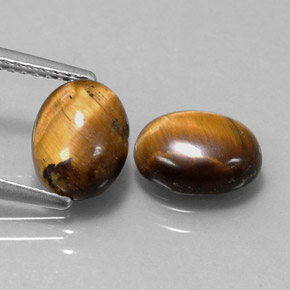 Pedras preciosas de tiger's eye marrom natural de  ct, corte oval, opaco