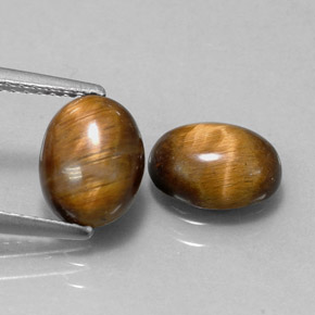Pedras preciosas de tiger's eye marrom natural de  ct, corte oval, opaco