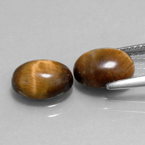 Pedras preciosas de tiger's eye marrom natural de  ct, corte oval, opaco