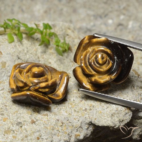 20.21ctw Natural Marrom Quente Olho de Tigre, Flor cortada, Opaco