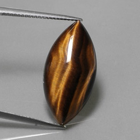Tiger's eye marrom natural 13,03ct, marquise, opaco