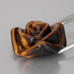 Olho de Tigre Dourado Marrom Natural 12.07ct, Forma extravagante, Opaco