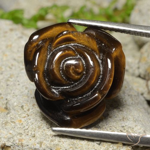 11.81ct Natural Gingerbread Marrom Olho de Tigre, Flor cortada, Opaco