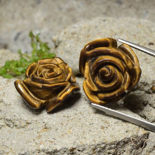 23.62ctw Natural Gingerbread Marrom Olho de Tigre, Flor cortada, Opaco