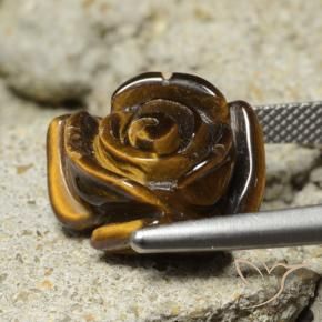 Olho de Tigre Castanho médio Natural 11.12ct, Flor cortada, Opaco