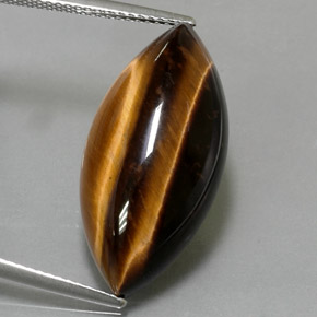 Tiger's eye marrom natural 13,60ct, marquise, opaco