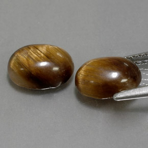 Pedras preciosas de tiger's eye marrom natural de  ct, corte oval, opaco