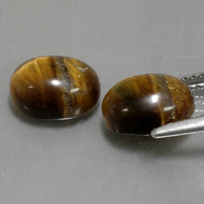 Pedras preciosas de tiger's eye marrom natural de  ct, corte oval, opaco