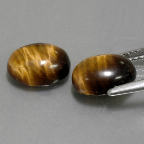 Pedras preciosas de tiger's eye marrom natural de  ct, corte oval, opaco