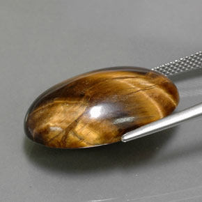 Tiger's eye marrom natural 23,72ct, corte oval, opaco