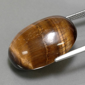 Tiger's eye marrom natural 24,80ct, corte oval, opaco