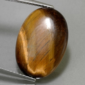 Tiger's eye marrom natural 10,40ct, corte oval, opaco