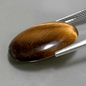 Tiger's eye marrom natural 10,40ct, corte oval, opaco
