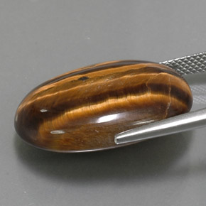 Tiger's eye marrom natural 25,04ct, corte oval, opaco