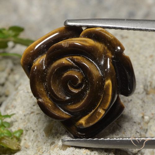 12.98ct Natural Marrom Quente Olho de Tigre, Flor cortada, Opaco