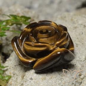 Olho de Tigre Marrom Quente Natural 12.98ct, Flor cortada, Opaco