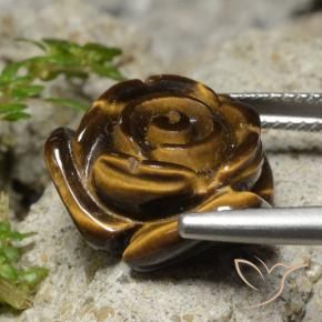 Olho de Tigre Marrom Quente Natural 12.98ct, Flor cortada, Opaco