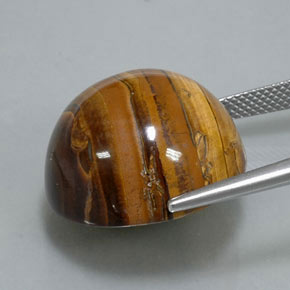 Tiger's eye marrom natural 38,37ct, corte redondo, opaco
