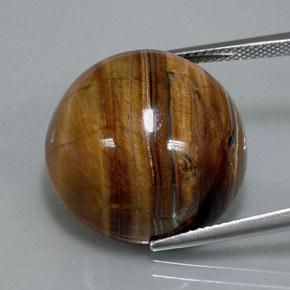 Tiger's eye marrom natural 36,50ct, corte redondo, opaco