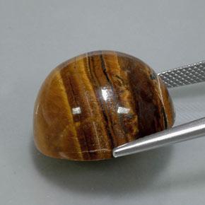 Tiger's eye marrom natural 36,50ct, corte redondo, opaco