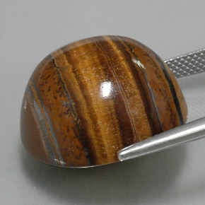 Olho de Tigre Dourado Marrom Natural 38.29ct, Corte Redondo, Opaco