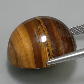 Tiger's eye marrom natural 36,89ct, corte redondo, opaco