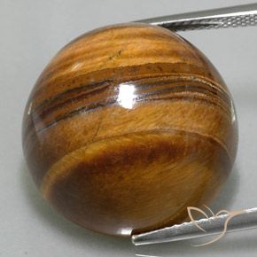 36.73ct Natural Castanho médio Olho de Tigre, Redondo, Opaco