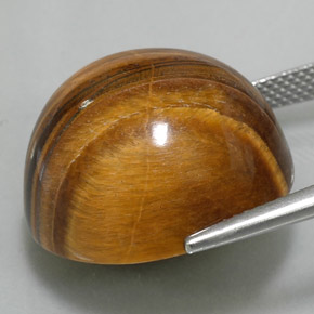 Tiger's eye marrom natural 37,11ct, corte redondo, opaco
