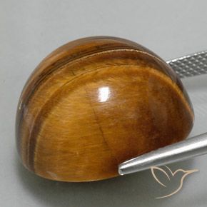 Olho de Tigre Castanho médio Natural 35.20ct, Redondo, Opaco