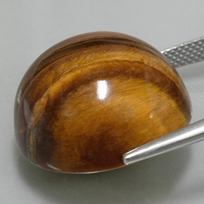 Olho de Tigre Dourado Marrom Natural 37.73ct, Corte Redondo, Opaco
