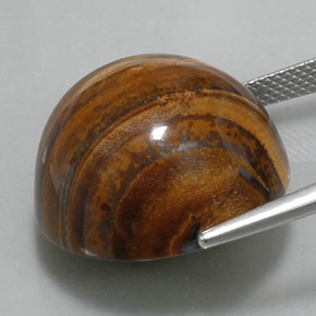 Tiger's eye marrom natural 36,56ct, corte redondo, opaco