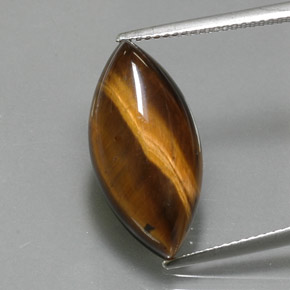 Olho de Tigre Dourado Marrom Natural 9.18ct, Marquesa, Opaco