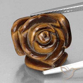 11.30ct Natural Marrom Caramelo Olho de Tigre, Chique, Opaco