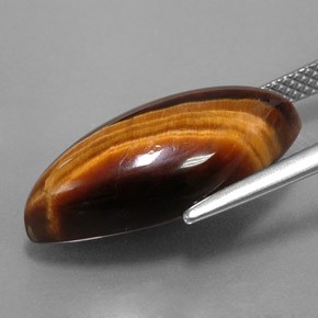 Tiger's eye marrom natural 8,51ct, marquise, opaco