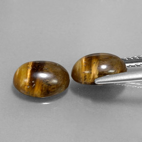 Pedras preciosas de tiger's eye marrom natural de  ct, corte oval, opaco
