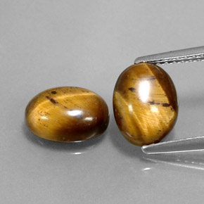 Pedras preciosas de tiger's eye marrom natural de  ct, corte oval, opaco